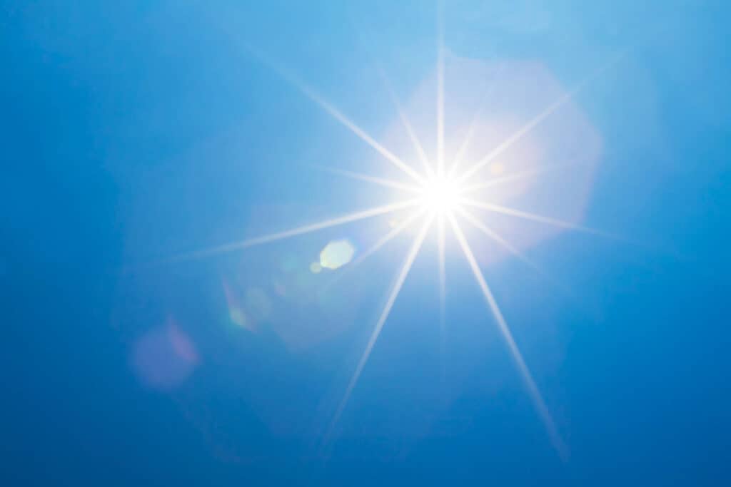 Proper Care, Watering, and Fertilizing for Colorado Trees During Drought