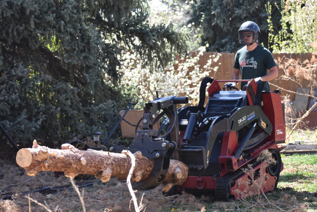 An arborist drives heavy equipment to move a large tree trunk from a customer's property during tree removal and trimming services near Littleton, CO.