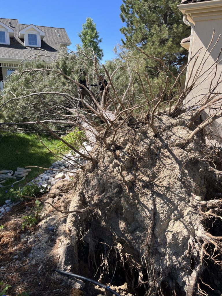 A pile of branches and other debris on a property during storm damage tree removal services in Denver, CO.