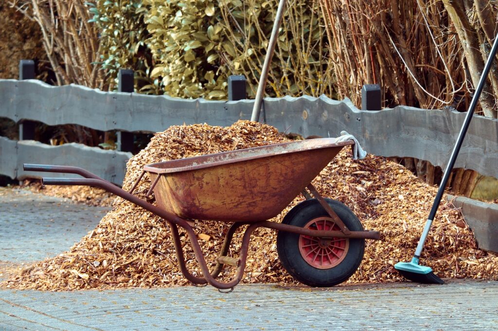 A wheelbarrow full of mulch sits outside. This image was used on an article that recommended mulching to winterize trees in littleton, co.