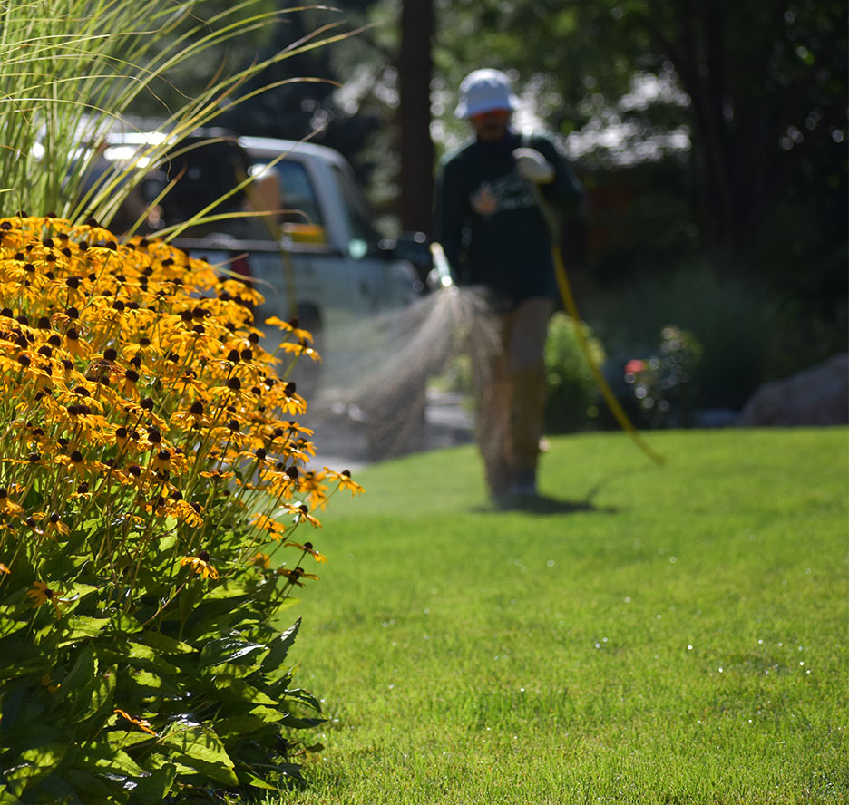 Fertilizing