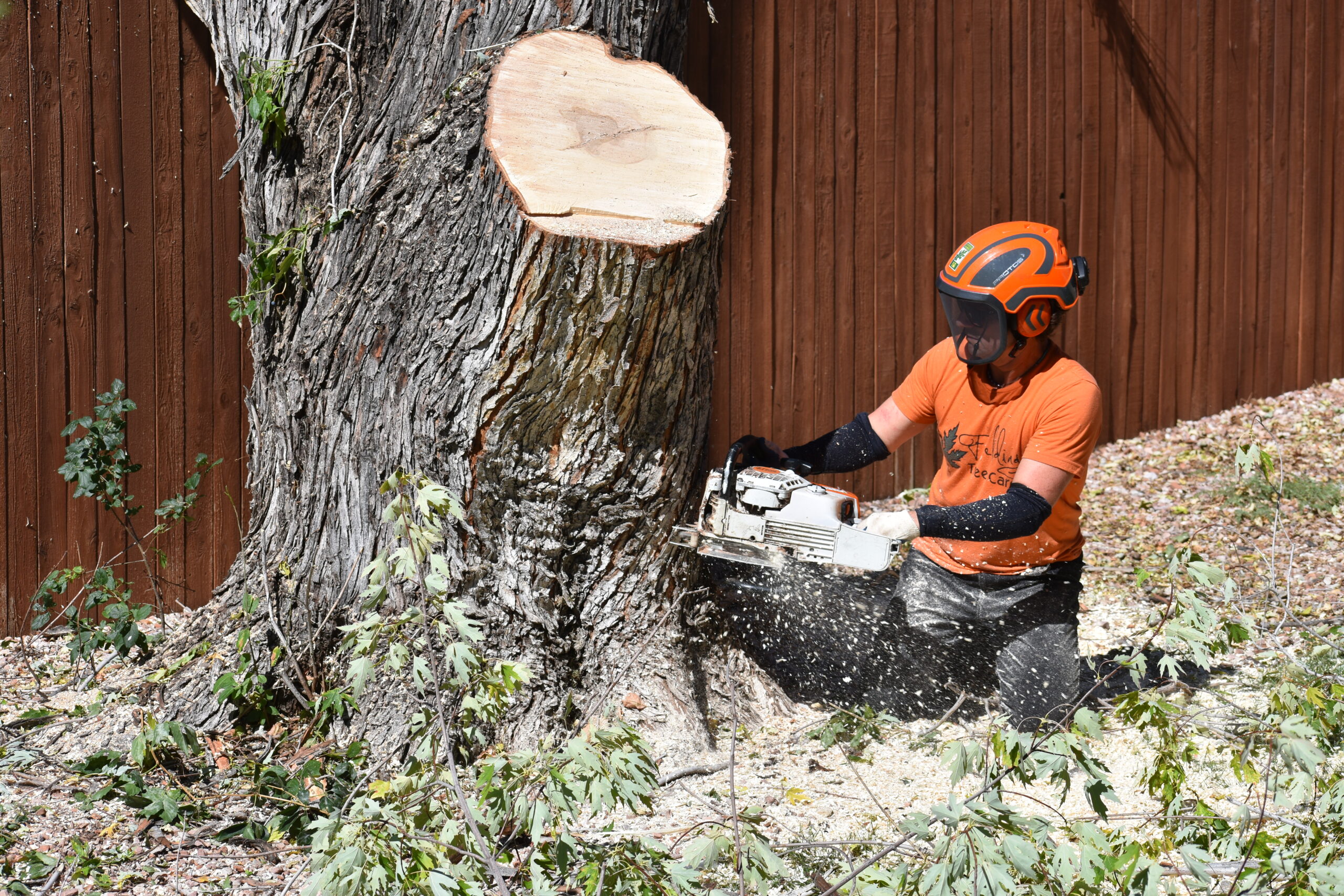 Fielding Tree Care tree removal crew with chainsaw.