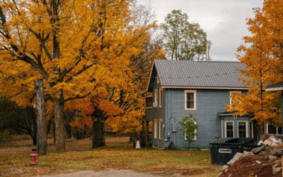 When is the Best Time of Year to Trim or Prune Trees in Colorado?