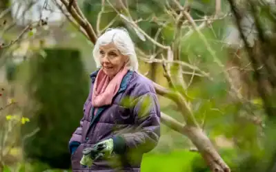 Do I need to water my trees during the winter?