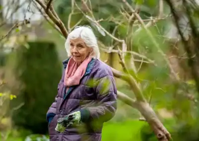 Do I need to water my trees during the winter?