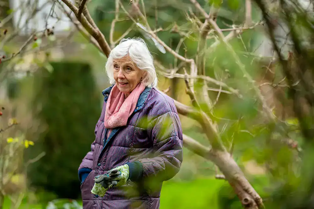 Do I need to water my trees during the winter?