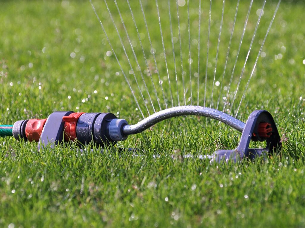 How to Maximize Water Efficiency for Your Trees and Lawn During Drought and Water Restrictions