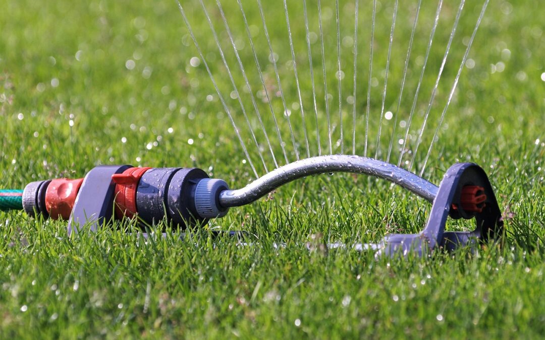 How to Maximize Water Efficiency for Your Trees and Lawn During Drought and Water Restrictions