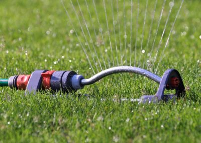 How to Maximize Water Efficiency for Your Trees and Lawn During Drought and Water Restrictions