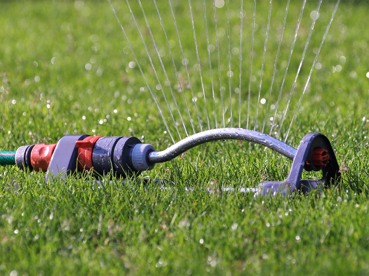 yard sprinkler