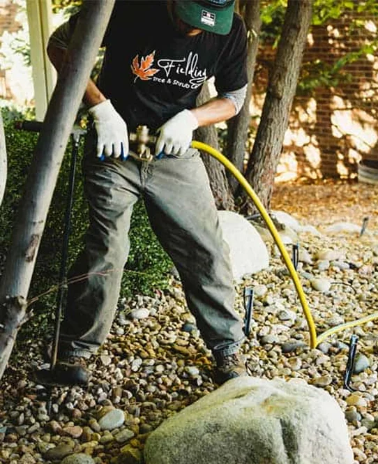 Tree Fertilization Services