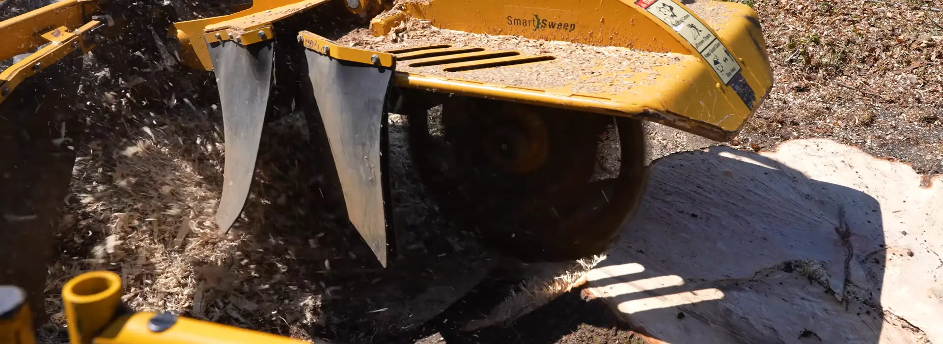 Stump Removal Service,<br />
Keep Your Denver Trees And Home Safe And Healthy
