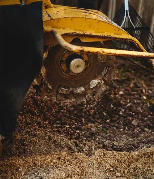 Stump Removal Pricing in Denver Stump Removal Pricing in Denver